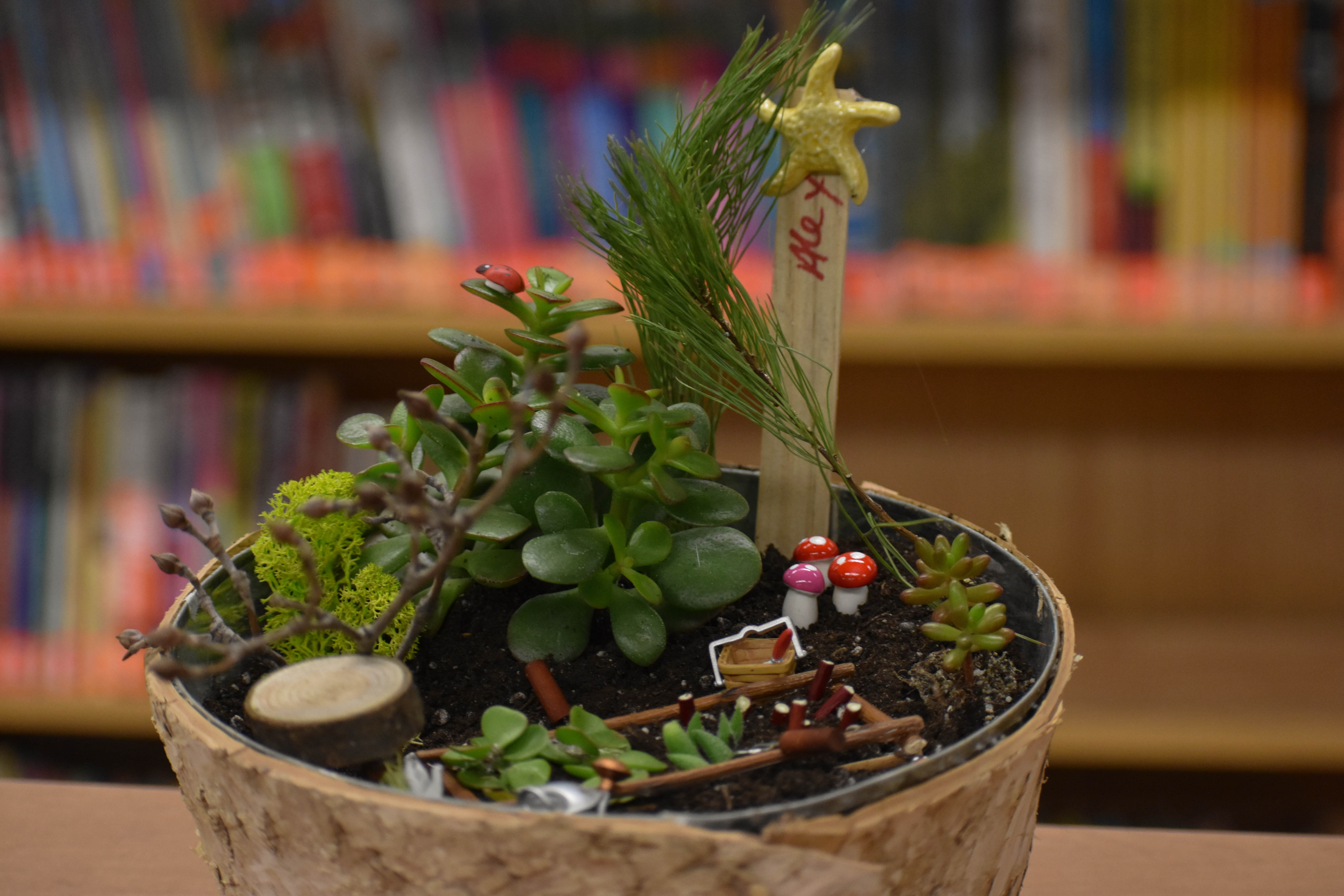 04_FairyDishGardens_JuniorGardeners5