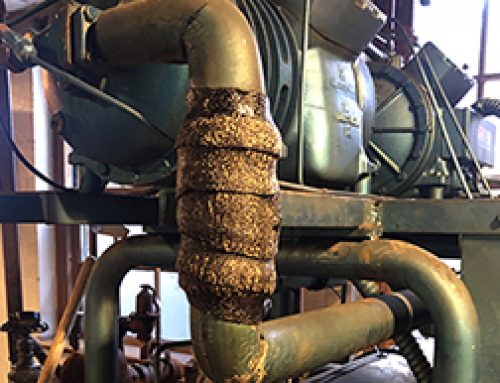 Belmont Citizen Herald – November 7, 2021